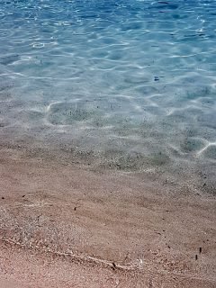 Stage di Vela classi seconde sportivo