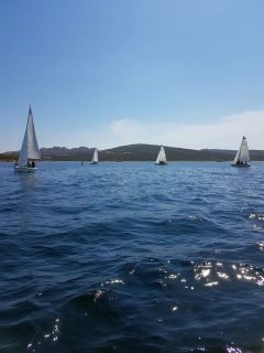 Stage di Vela classi seconde sportivo