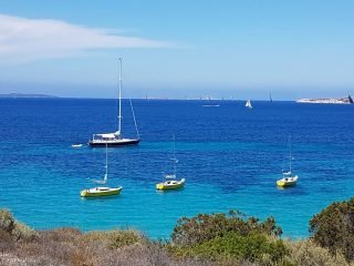 Stage di Vela classi seconde sportivo
